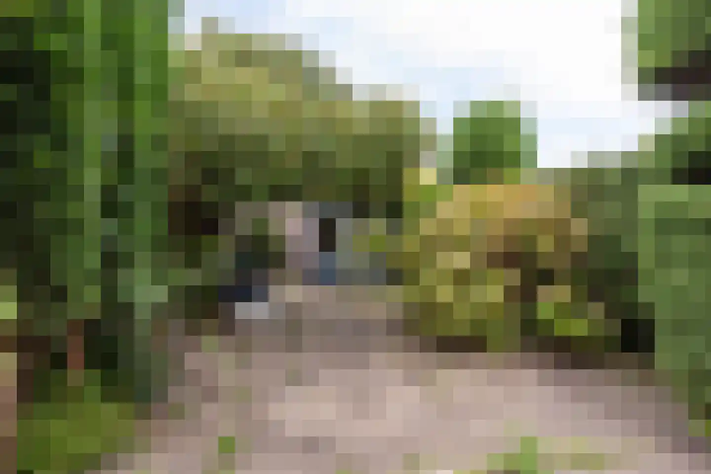 Söderblomstraat 125 Hoofddorp thumbnail 18