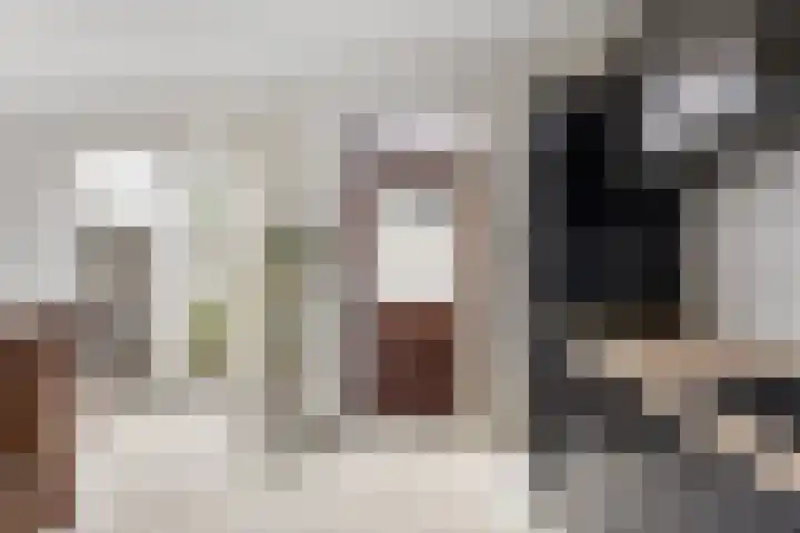 Söderblomstraat 278 Hoofddorp thumbnail 14