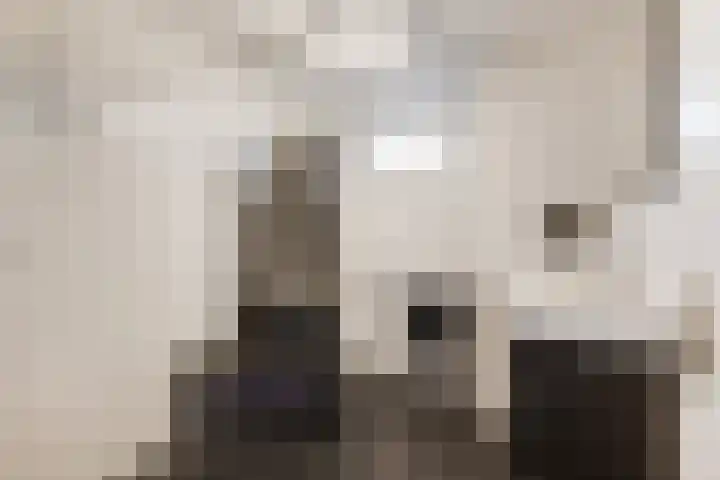 Söderblomstraat 278 Hoofddorp thumbnail 20