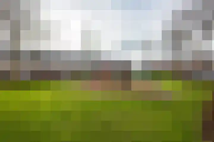 Söderblomstraat 278 Hoofddorp thumbnail 24