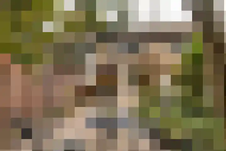 Söderblomstraat 278 Hoofddorp thumbnail 6