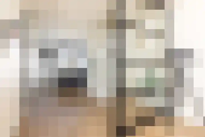 Soedanlaan 6 Drunen thumbnail 10