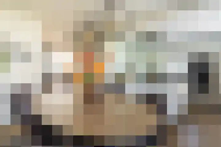 Soedanlaan 6 Drunen thumbnail 11