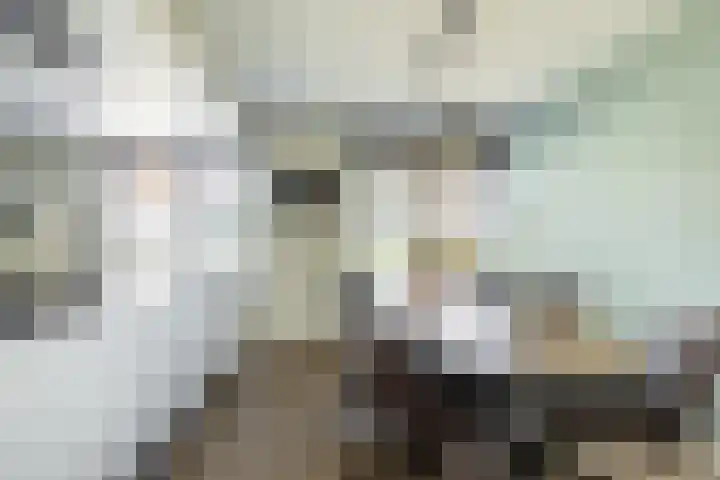 Soedanlaan 6 Drunen thumbnail 12