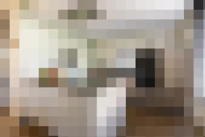 Soedanlaan 6 Drunen thumbnail 13