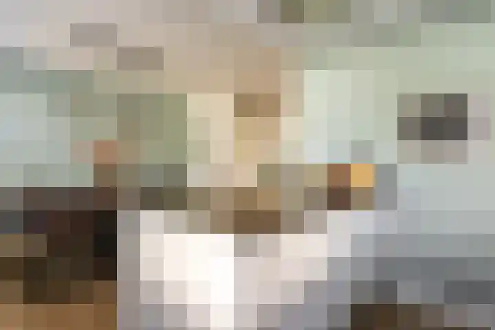 Soedanlaan 6 Drunen thumbnail 15