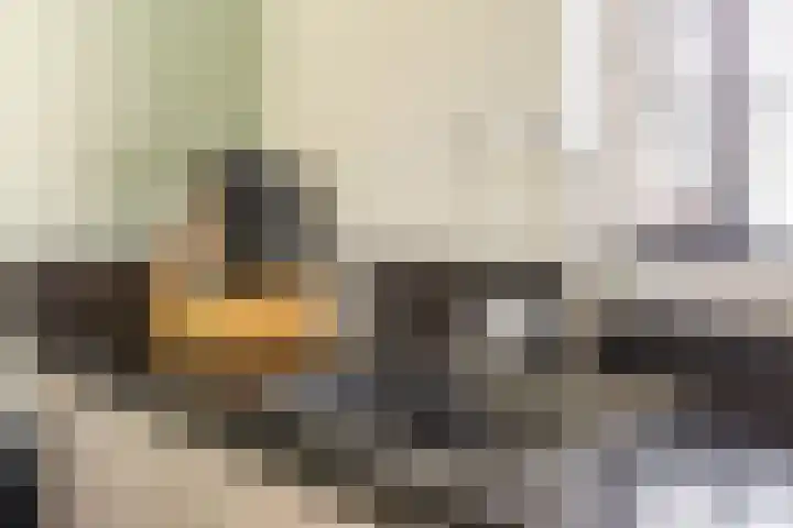 Soedanlaan 6 Drunen thumbnail 17