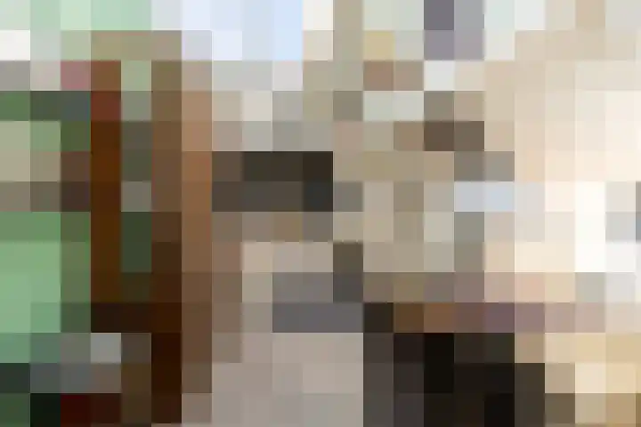 Soedanlaan 6 Drunen thumbnail 30