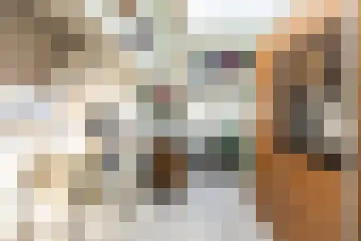 Soedanlaan 6 Drunen thumbnail 31