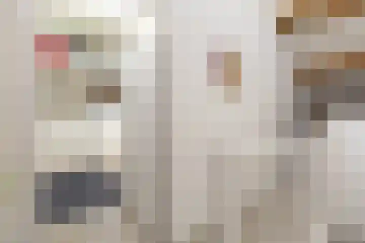 Soedanlaan 6 Drunen thumbnail 33