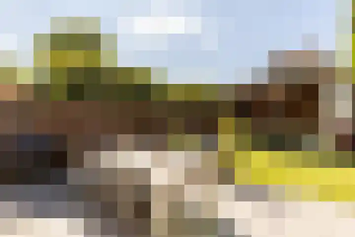 Soedanlaan 6 Drunen thumbnail 37