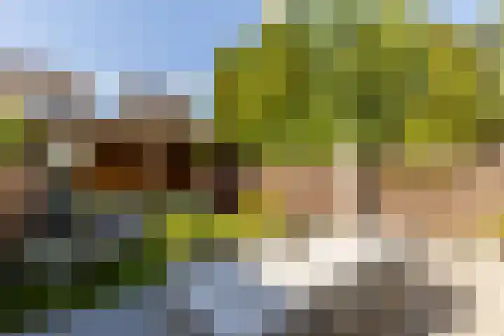 Soedanlaan 6 Drunen thumbnail 38