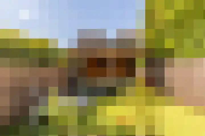 Soedanlaan 6 Drunen thumbnail 39