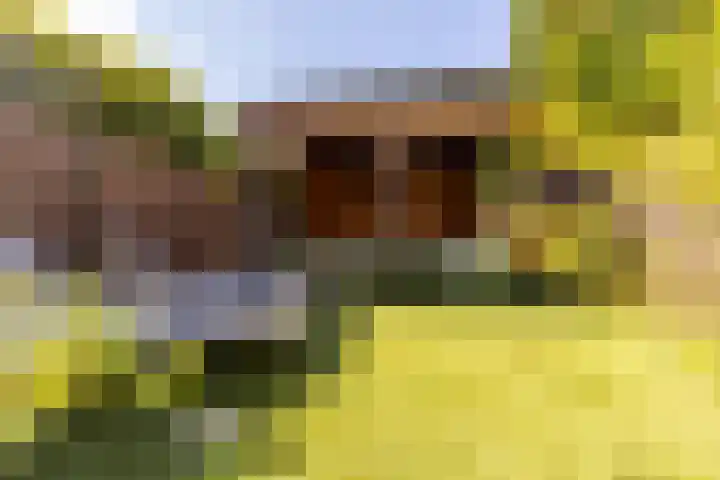 Soedanlaan 6 Drunen thumbnail 40