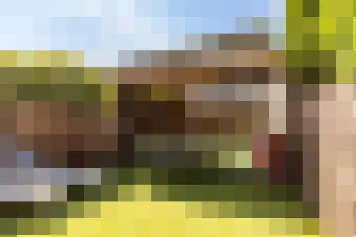 Soedanlaan 6 Drunen thumbnail 41