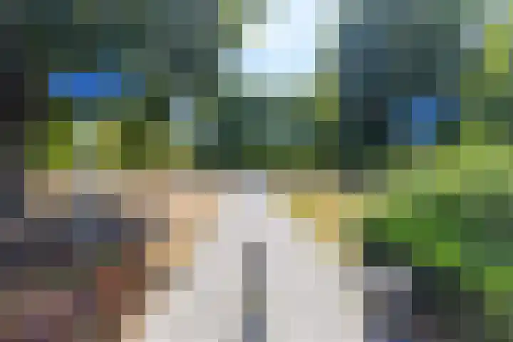 Soedanlaan 6 Drunen thumbnail 51
