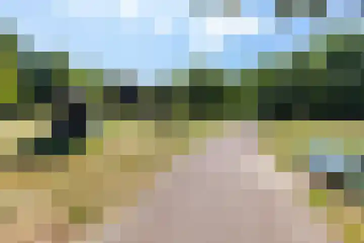 Soedanlaan 6 Drunen thumbnail 53