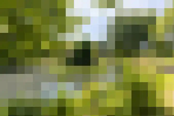 Soedanlaan 6 Drunen thumbnail 54
