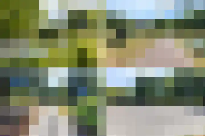 Soedanlaan 6 Drunen thumbnail 55