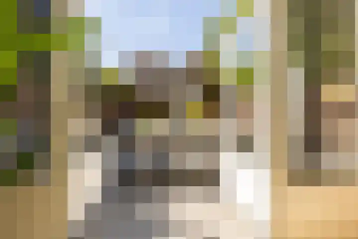 Soedanlaan 6 Drunen thumbnail 7