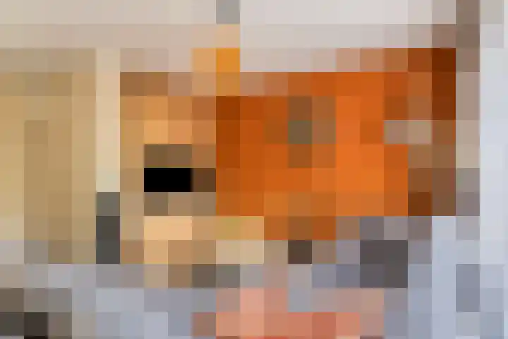 Soelekerkestraat 7 Kamperland thumbnail 10