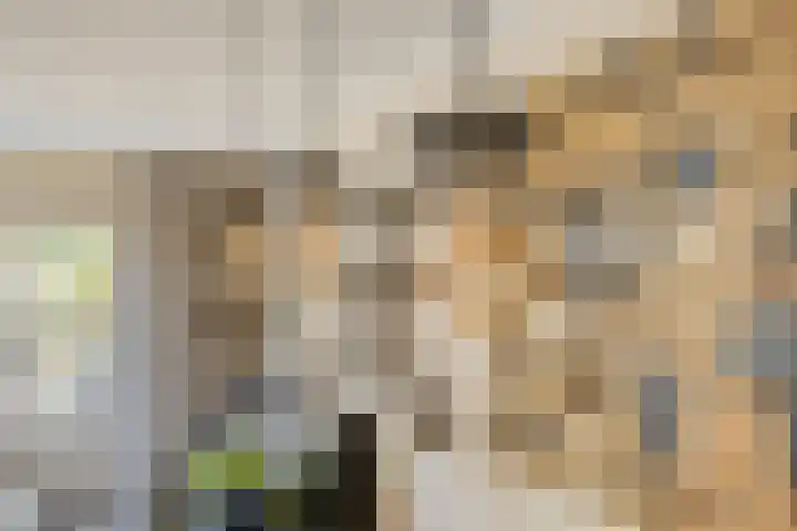 Soelekerkestraat 7 Kamperland thumbnail 15