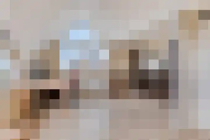 Soelekerkestraat 7 Kamperland thumbnail 17