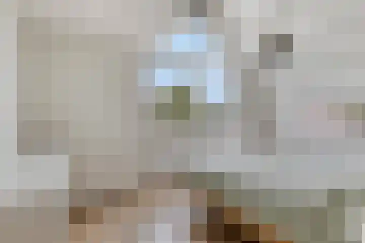 Soelekerkestraat 7 Kamperland thumbnail 19