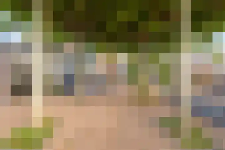 Soelekerkestraat 7 Kamperland thumbnail 30