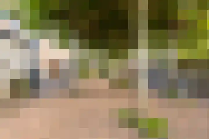 Soelekerkestraat 7 Kamperland thumbnail 31