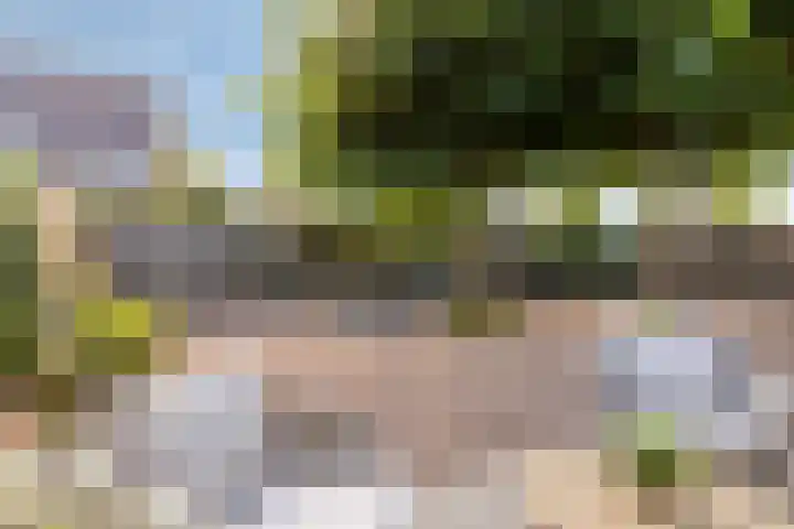 Soelekerkestraat 7 Kamperland thumbnail 33