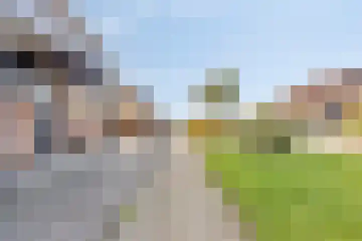 Soelekerkestraat 7 Kamperland thumbnail 35