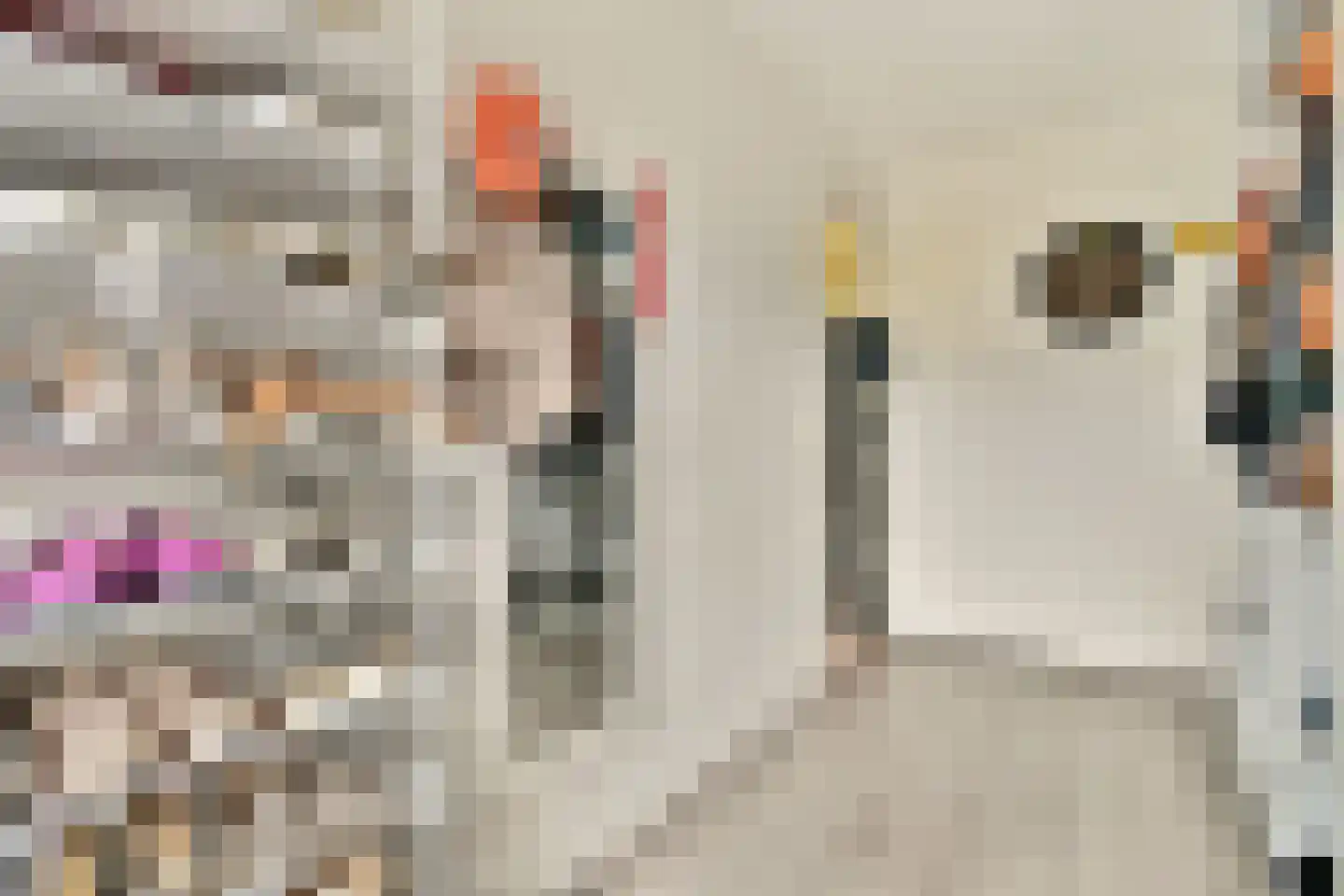 Soembastraat 60 Leiden thumbnail 21