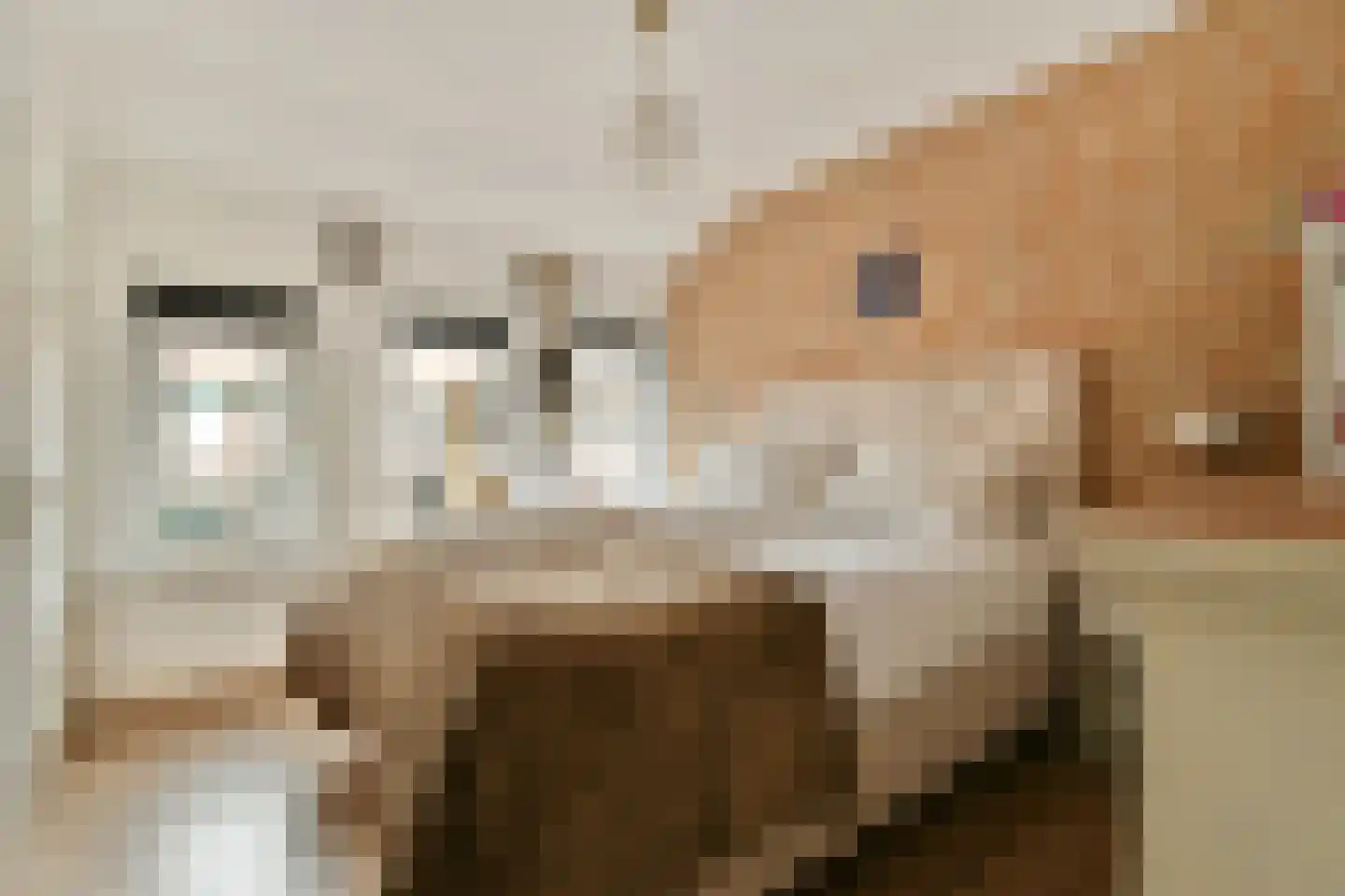 Soembastraat 60 Leiden thumbnail 4