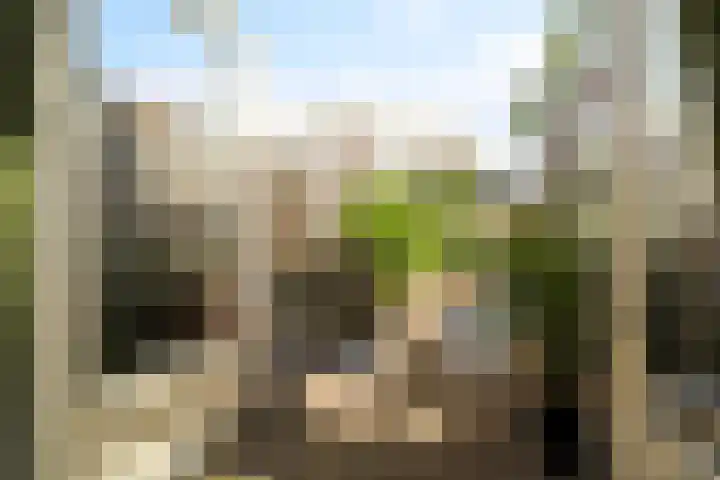 Soembastraat 63 Den Helder thumbnail 12