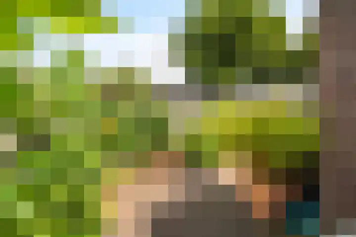 Soembastraat 63 Den Helder thumbnail 13