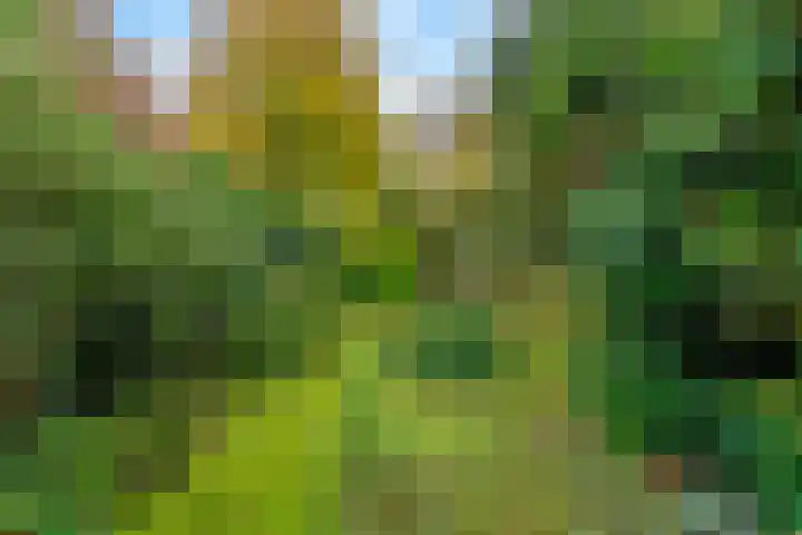 Soembastraat 7 Amersfoort thumbnail 16