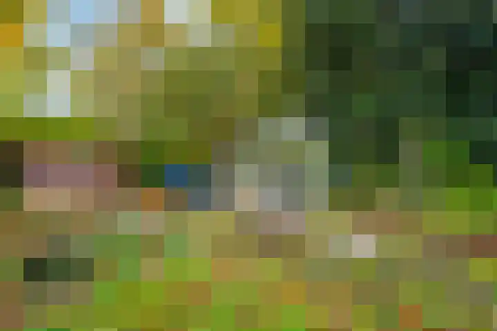 Soembastraat 7 Amersfoort thumbnail 17