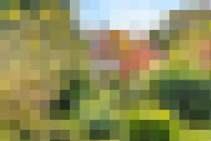 Soembastraat 7 Amersfoort thumbnail 18