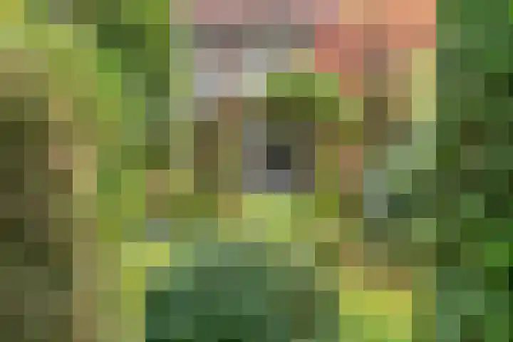 Soembastraat 7 Amersfoort thumbnail 19