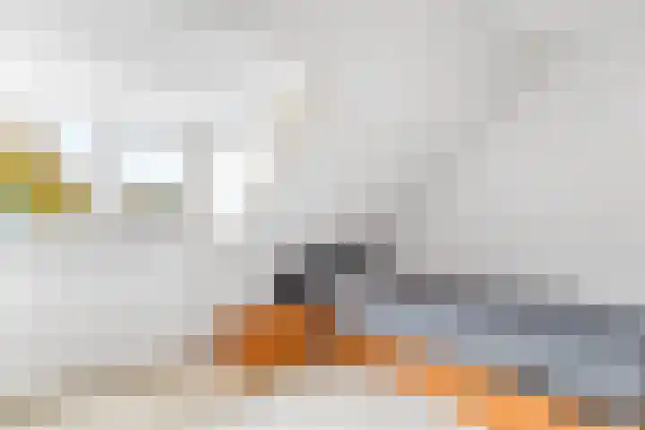 Soembastraat 7 Amersfoort thumbnail 32