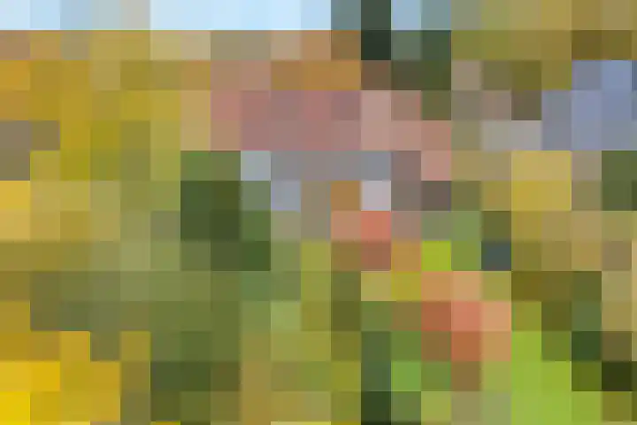 Soembastraat 7 Amersfoort thumbnail 36