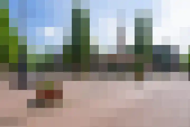 Soembawastraat 24 C Amsterdam thumbnail 29
