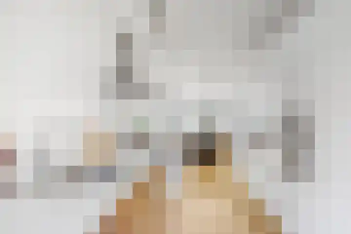 Soembawastraat 24 C Amsterdam thumbnail 9