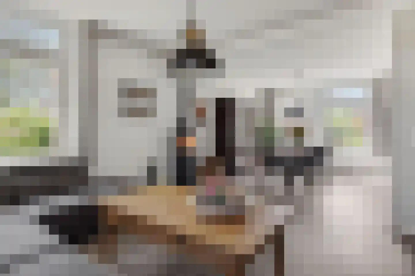 Soemeersingel 67 Helenaveen thumbnail 12