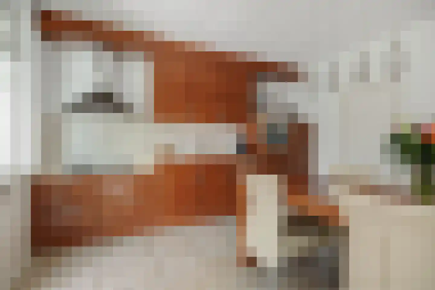 Soemeersingel 67 Helenaveen thumbnail 19