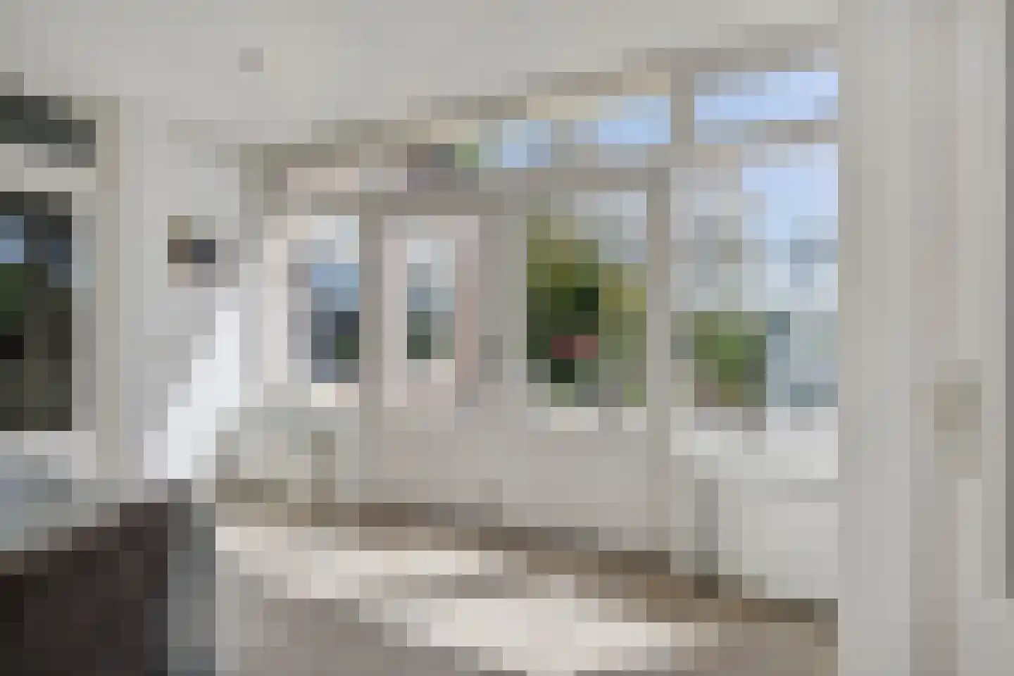Soemeersingel 67 Helenaveen thumbnail 22
