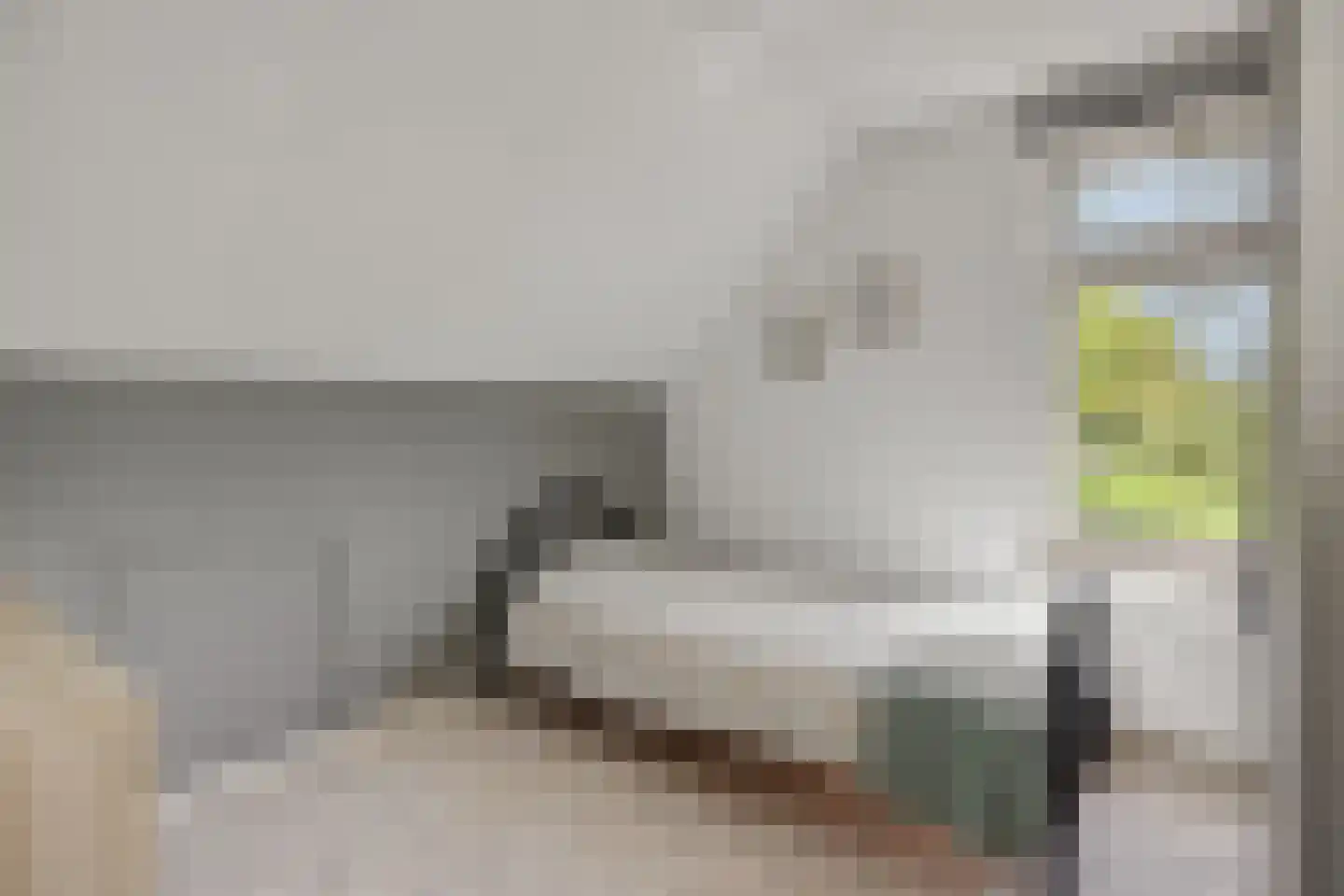 Soemeersingel 67 Helenaveen thumbnail 27