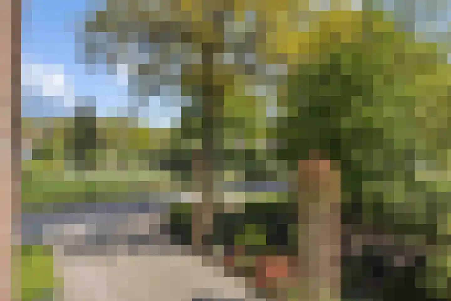 Soemeersingel 67 Helenaveen thumbnail 33