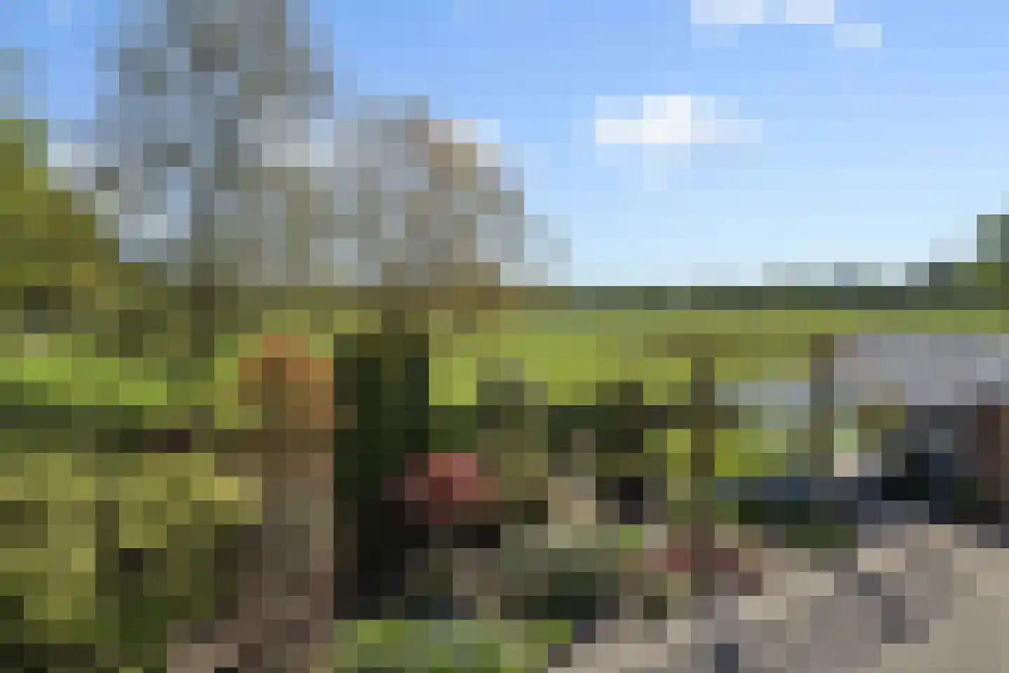 Soemeersingel 67 Helenaveen thumbnail 34